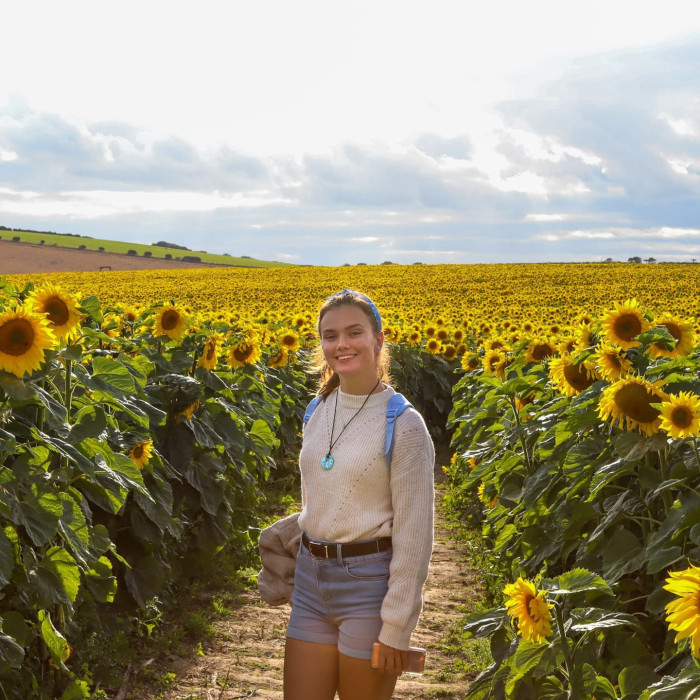 Maiden Castle Farm image from Dorset Sunflower Trail